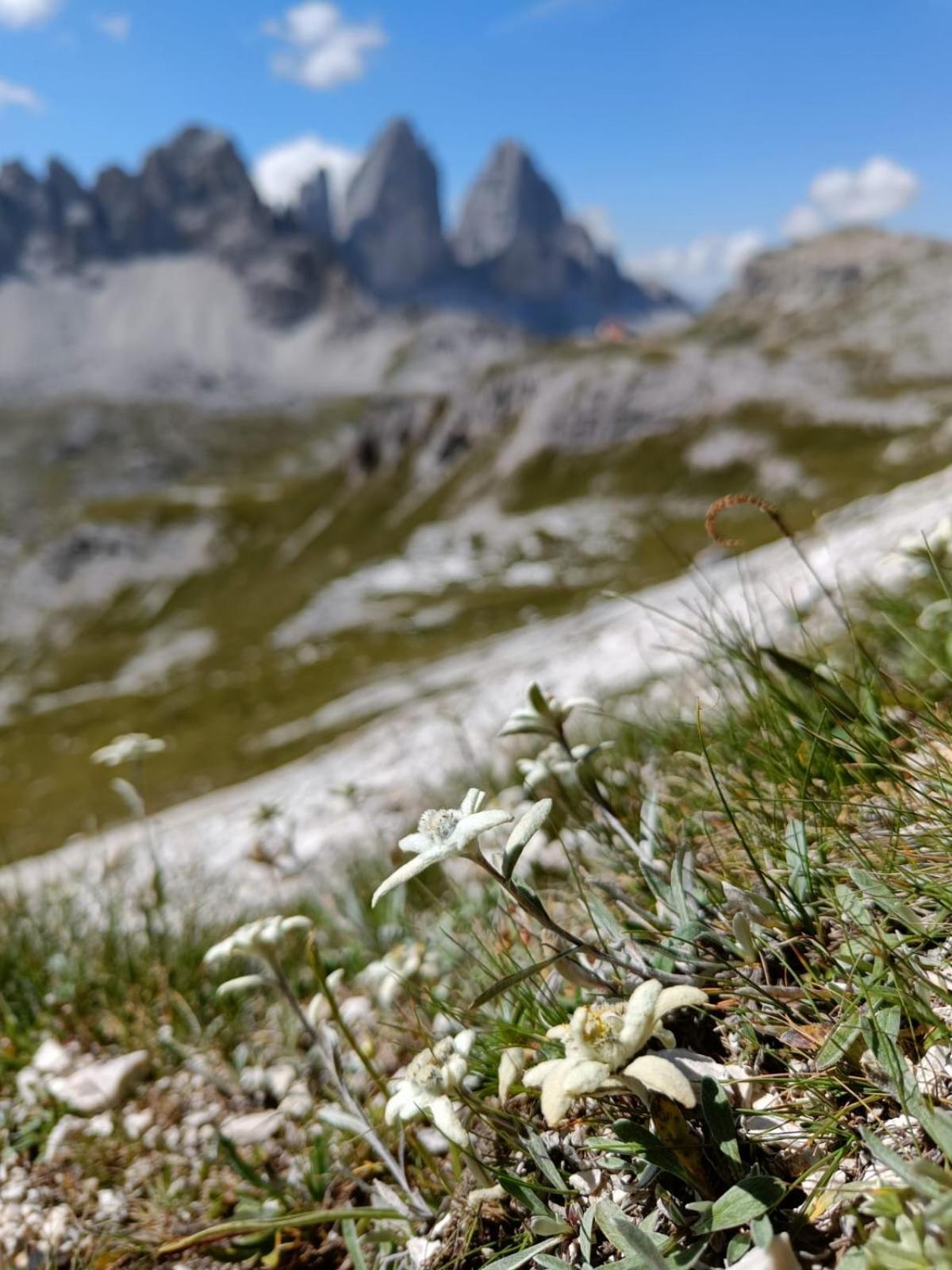 Appartamenti Sonnenuhr Sexten Exteriér fotografie